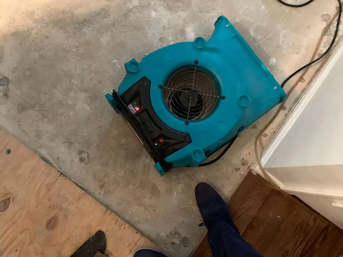 Air mover drying subfloor during Leak Detection & Repair in Elkins